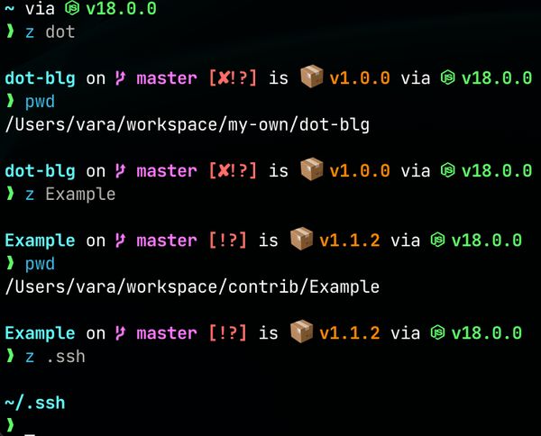 z command usage example